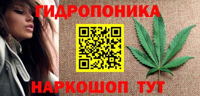 прущая мука Аша