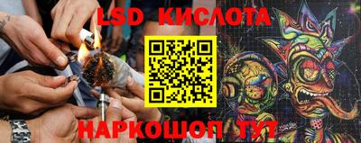 прущие грибы Баксан